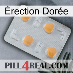Érection Dorée 24